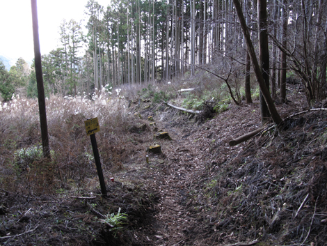 20160121hike (375)
